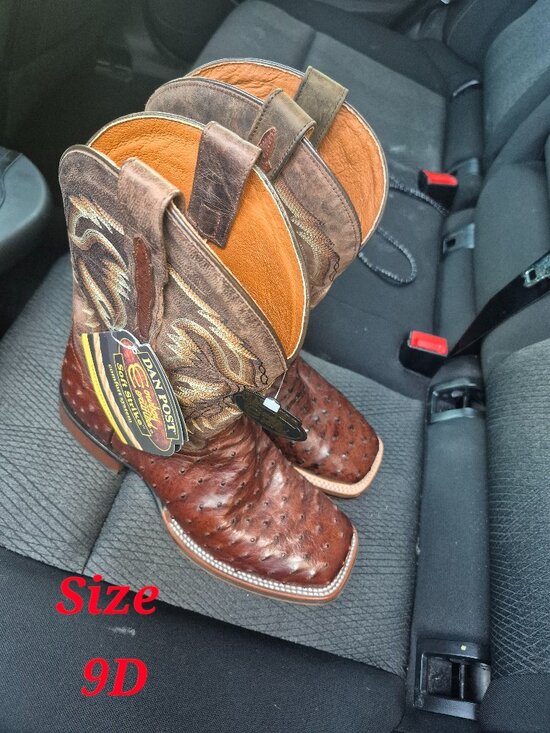 Dan Post Ostrich skin boots